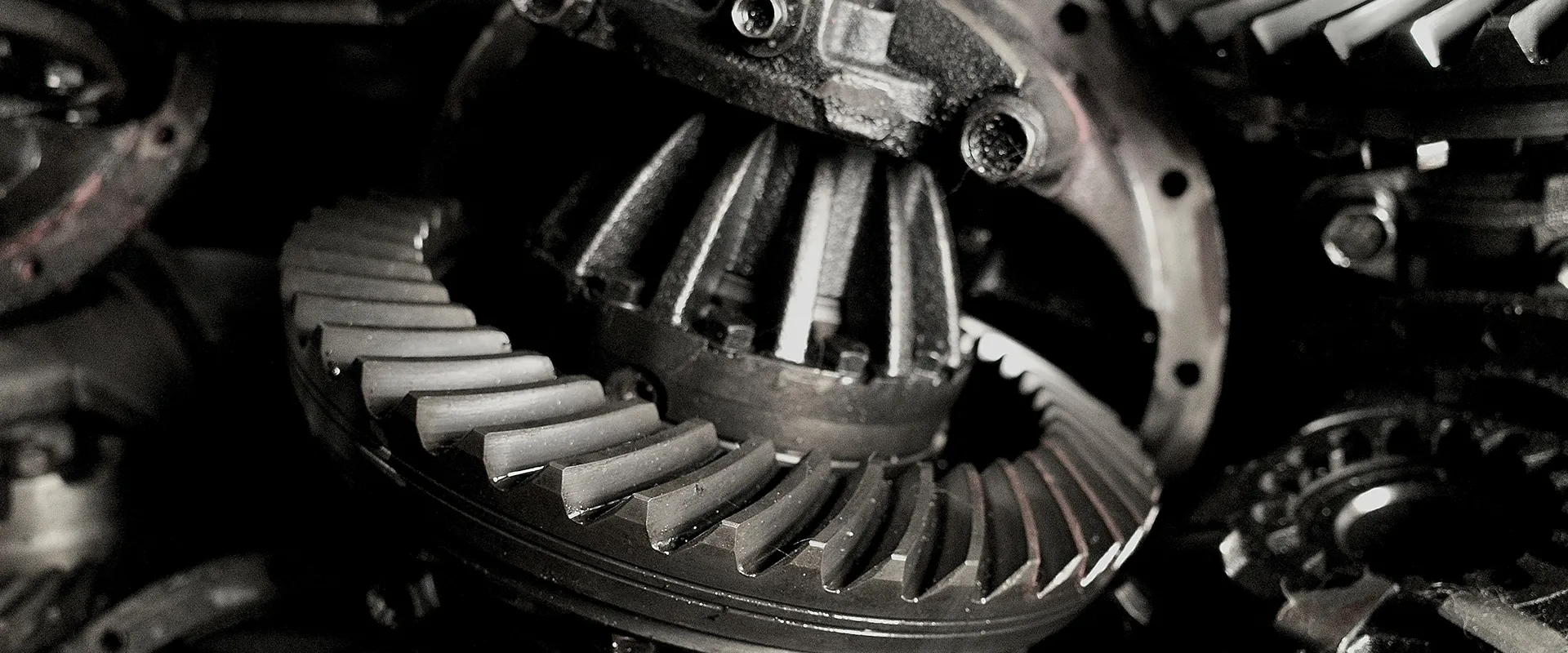 European Drivetrain and Differential in Texas