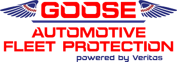 fleet protection logo 01