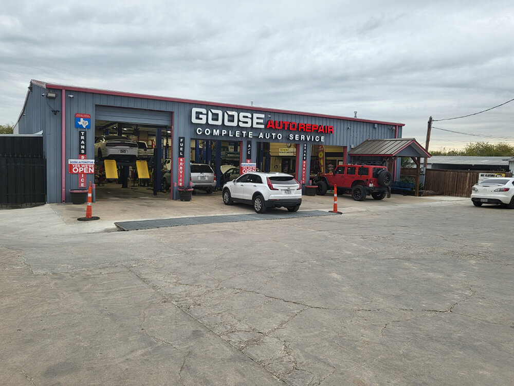 hm goose automotive about 03